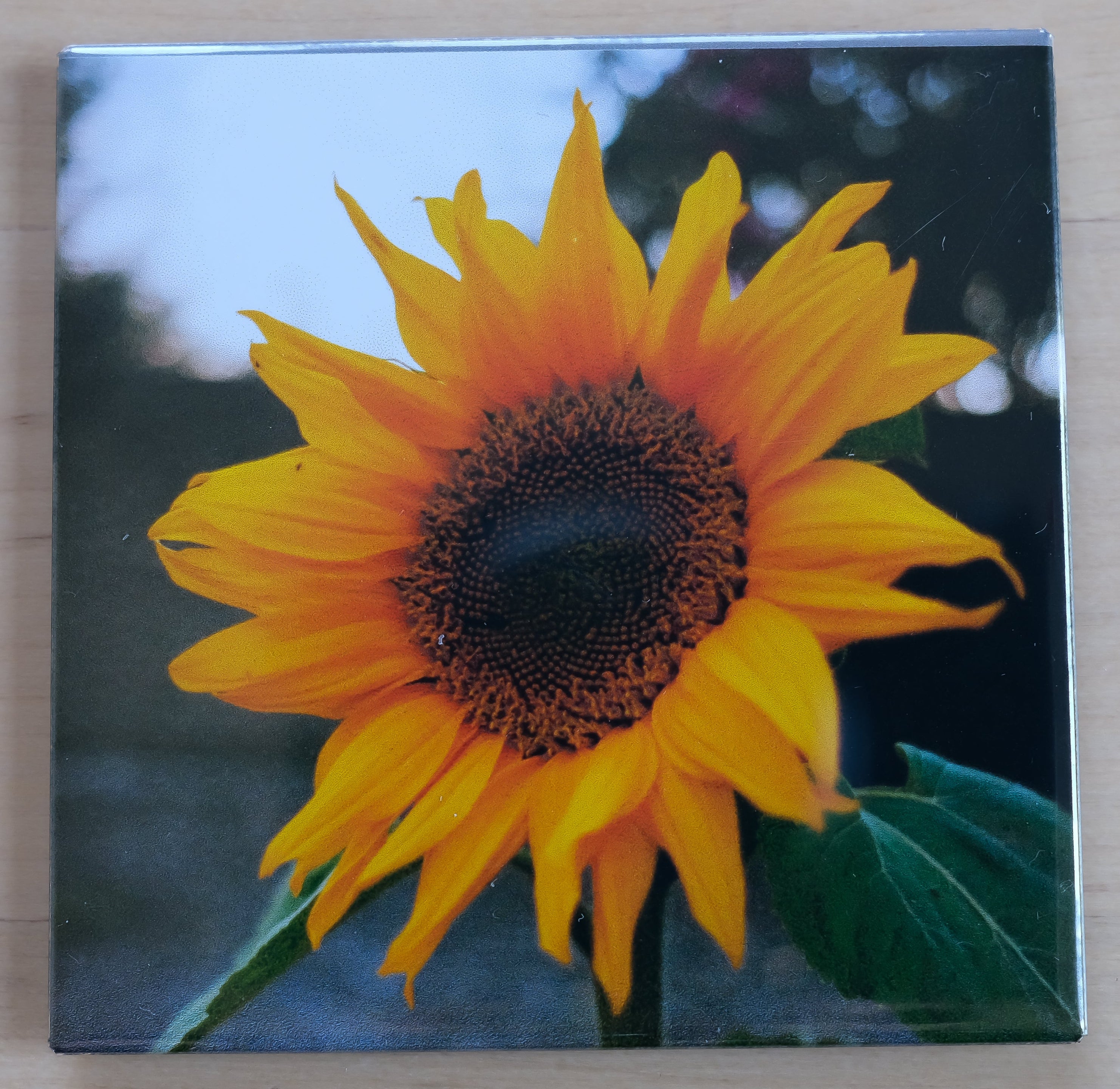 Turn Your Favorite Photos Into Beautiful Custom Magnets