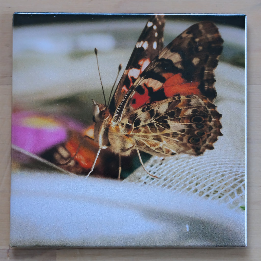 Turn Your Favorite Photos Into Beautiful Custom Magnets