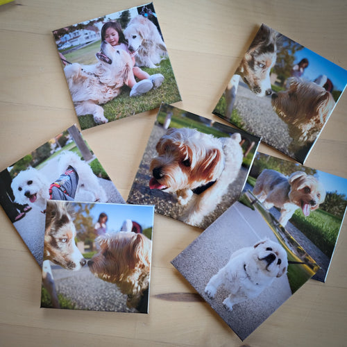 Personalized Photo Magnets